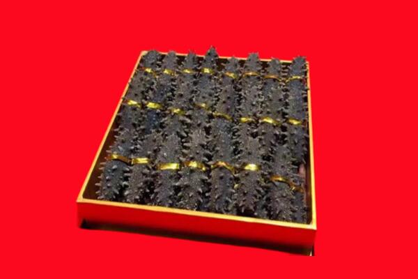 玉林回收海参